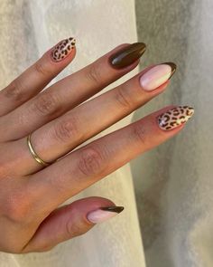 Short Fall Nail Designs, Short Fall Nail, Nail Designs Fall, Cheetah Print Nails, Multicolored Nails, Cheetah Nails, Spring Acrylic Nails, Airbrush Nails