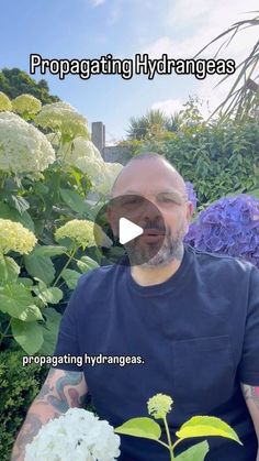 a man sitting in front of flowers with the caption propagating hydrangeas