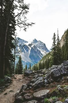 a rocky trail in the mountains with trees on both sides and snow capped mountain peaks behind it