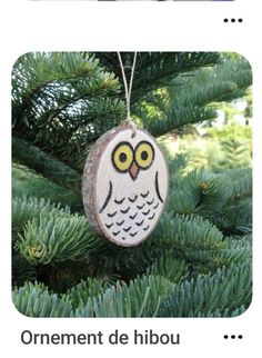 an owl ornament hanging from a pine tree with the caption's name on it