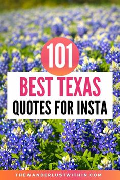 blue flowers with the words 101 best texas quotes for insa