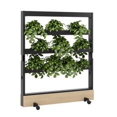 an indoor planter with green plants growing on it's sides and black wheels