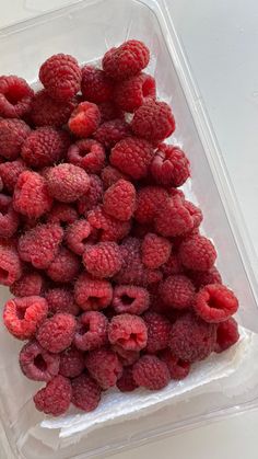 raspberries in a plastic container on a table