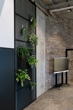 a television sitting on top of a wooden floor next to a planter filled wall