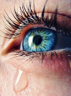 an eye with blue and green colored iris looking at the camera, close up view