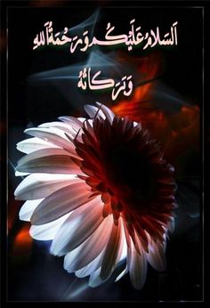 a white flower with arabic writing in the middle and an image of a black background