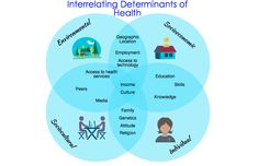 the intersection of three intersecting circles with words describing different types of health