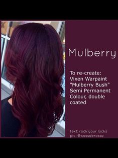 New Hair Colors 2023 Fall, Red Hair Colors For Brunettes, Cherry Wine Hair Color, Cherry Wine Hair Color Burgundy, Pelo Color Borgoña, Pelo Color Vino, Garden 2023, Wine Hair, Dark Red Hair