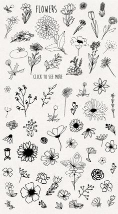 flowers are drawn in black and white with the words, flowers click to see more