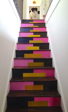 a dog is sitting on the stairs painted with different colors and shapes in this hallway