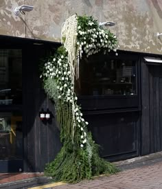 a bunch of white flowers hanging from the side of a building next to a street