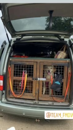 two dogs are sitting in the back of a car with their caged doors open