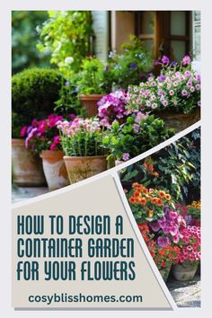 flowers in pots with the words how to design a container garden for your flowers