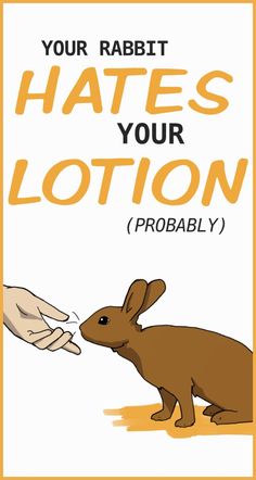 a rabbit is touching another bunny's hand with the caption, your rabbit hates your lotion probably