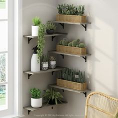 some plants are sitting on shelves in a room