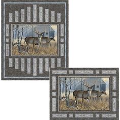 two framed pictures of deer in the woods