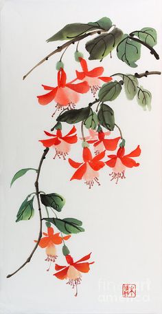 a painting of red flowers and green leaves on a white background with chinese writing in the bottom corner