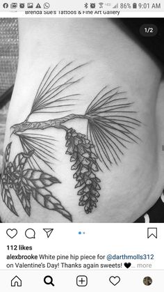 a black and white photo of a woman's stomach with pine cones on it