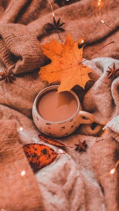 a cup of hot chocolate sits on a blanket next to an orange maple leaf and some lights