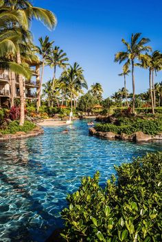 an outdoor swimming pool surrounded by palm trees and water features a sailboat in the middle