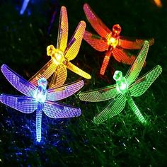 four dragonfly lights sitting on top of grass in front of the light up wings