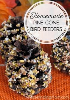 homemade pine cone bird feeders with text overlay