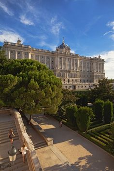 people are walking down the stairs in front of a large building with many trees and bushes