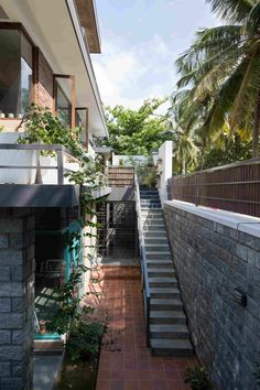 the stairs lead up to the upper level of this modern house, which is surrounded by palm trees