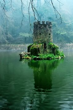 an old castle sitting on top of a lake in the middle of a foggy forest