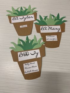 three potted plants with name tags on them