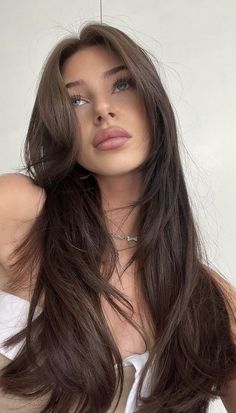 Brown Hair Women, Brunette Female, Rambut Brunette, Brown Hair Looks, Brown Hair Inspo, Hairstyles For Layered Hair, Brunette Woman, Long Brown Hair, Hair Inspo Color