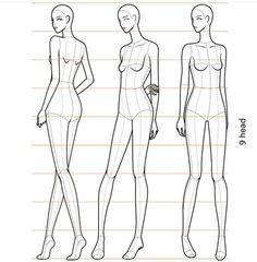 an image of a female mannequin with measurements for each body and the size