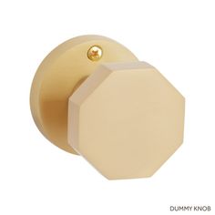 an image of a door knob on a white background with the word dummy nob written below it