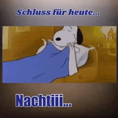 a cartoon character laying in bed with the caption schluss fur heute nacchini