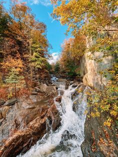 a river running through a forest filled with lots of trees covered in fall foliage and rocks