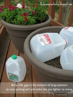 two plastic jugs sitting on top of a wooden table next to a potted plant