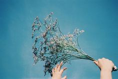 a person reaching up to grab some flowers out of the air with their hands, against a blue sky