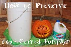 how to preserve carved pumpkins in a bucket with instructions on how to carve them