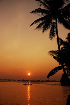 the sun is setting behind some palm trees on the water with a boat in the foreground