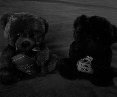 two black teddy bears sitting next to each other