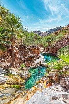 a pool surrounded by palm trees in the middle of a rocky area with blue water