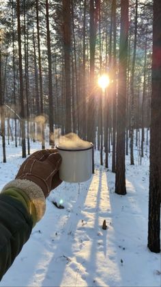 a person is holding a bucket in the snow with trees and sun shining behind them