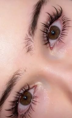 Different Eyeliner Styles, Natural Fake Eyelashes, Bentuk Alis, Beautiful Eyes Color, Perfect Eyelashes, Long Eyelashes, Eyeliner Styles, Beauty Goals