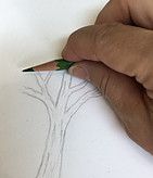 a hand holding a pencil drawing a tree