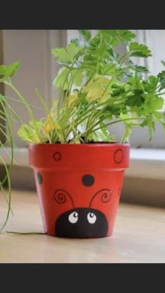 a ladybug plant in a red pot with black spots on it's face