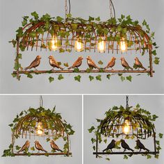 four different views of birds in a cage with light bulbs hanging from the top and bottom