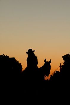 the silhouette of two people on horseback at sunset or dawn with trees in the background