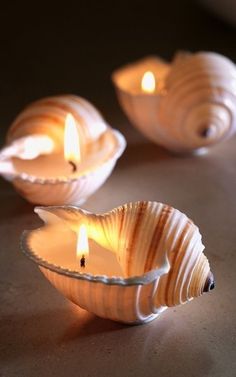 three seashell shaped candles sitting on top of a table