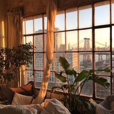 a bedroom with large windows and plants in the window sill, looking out at the city