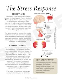 The HPA axis is the communication network between the Hypothalamus, Pituitary gland, and Adrenal glands. It is the body's primary system for recognizing and responding to stress. Whenever the brain recognizes stress, it triggers a hormone cascade to alert the rest of the body. This results in a release of cortisol (aka "stress hormone"), which tells the body to react AND turns off the signals from the brain.  This system is designed to respond to stress in a balanced way. In fact, some stress is Regrow Hair, Thyroid Health, Holistic Nutrition